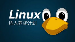 安全中国Linux网络嵌入架构工程师VIP培训班视频课程